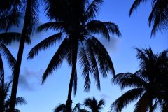 DSC_1058-rotated