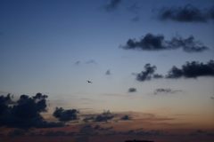 DSC_1067-rotated