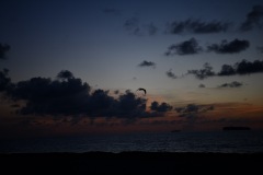DSC_1075