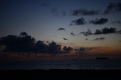 DSC_1076