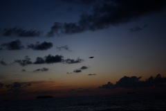 DSC_1078