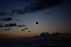 DSC_1079