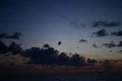 DSC_1080