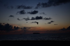 DSC_1081