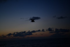 DSC_1085
