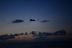 DSC_1086