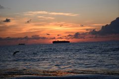 DSC_1121-rotated