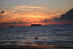 DSC_1122-rotated
