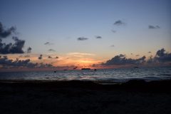 DSC_1123-rotated