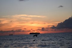 DSC_1126-rotated