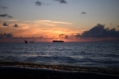 DSC_1129