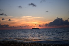 DSC_1130