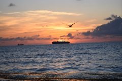 DSC_1141-rotated