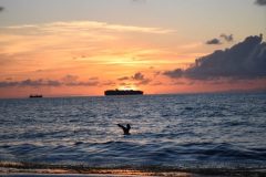 DSC_1144-rotated
