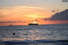 DSC_1146-rotated