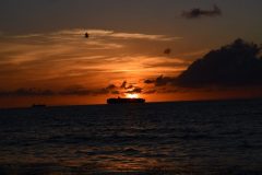 DSC_1154-rotated