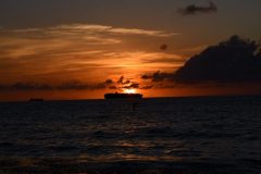 DSC_1155-rotated