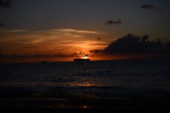 DSC_1156