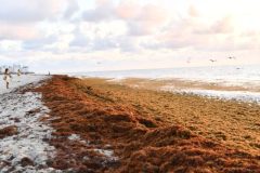 DSC_1169-rotated