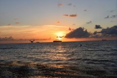 DSC_1170-rotated