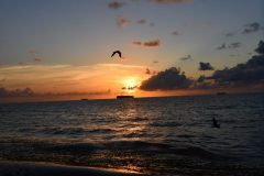 DSC_1171-rotated
