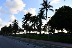 DSC_1179-rotated
