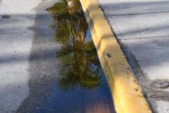 DSC_1211-rotated