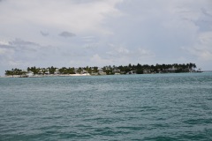 DSC_1234