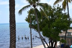 DSC_1262-rotated