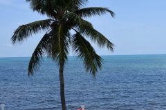 DSC_1263-rotated