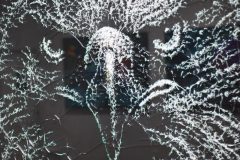 DSC_1334-rotated