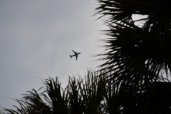 DSC_1339