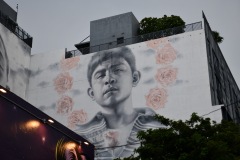 DSC_1353
